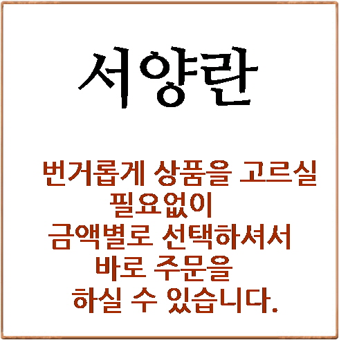 서양란