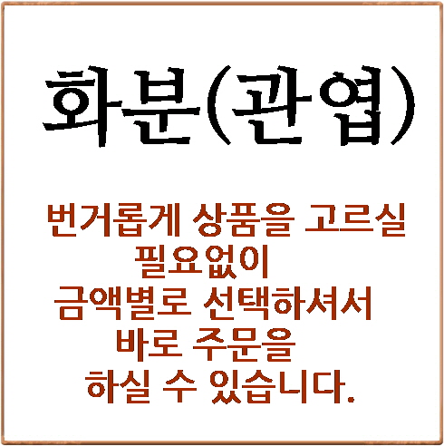 관엽(화분)