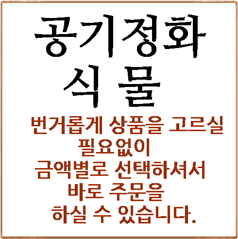 공기정화식물